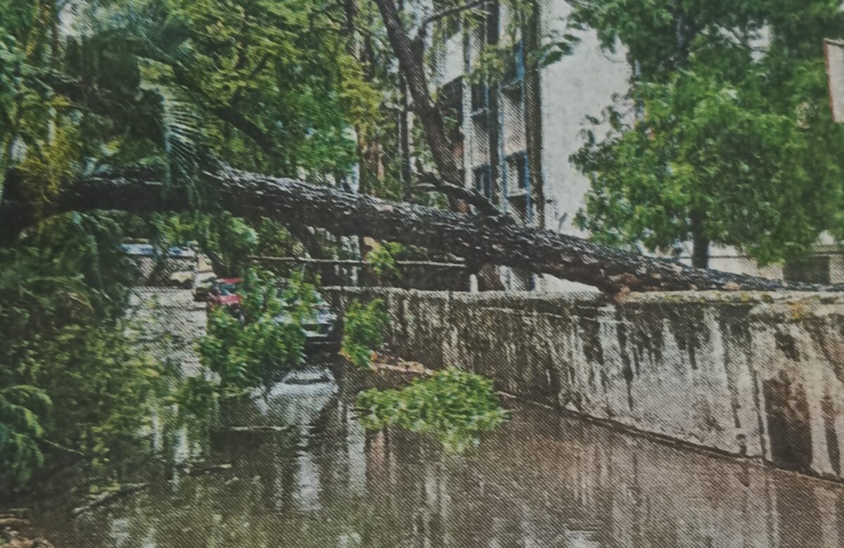 हडपसरमध्ये मुसळधार पाऊस; झाड कोसळले, नोबल हॉस्पिटल पार्किंगमध्ये पाणी साचले