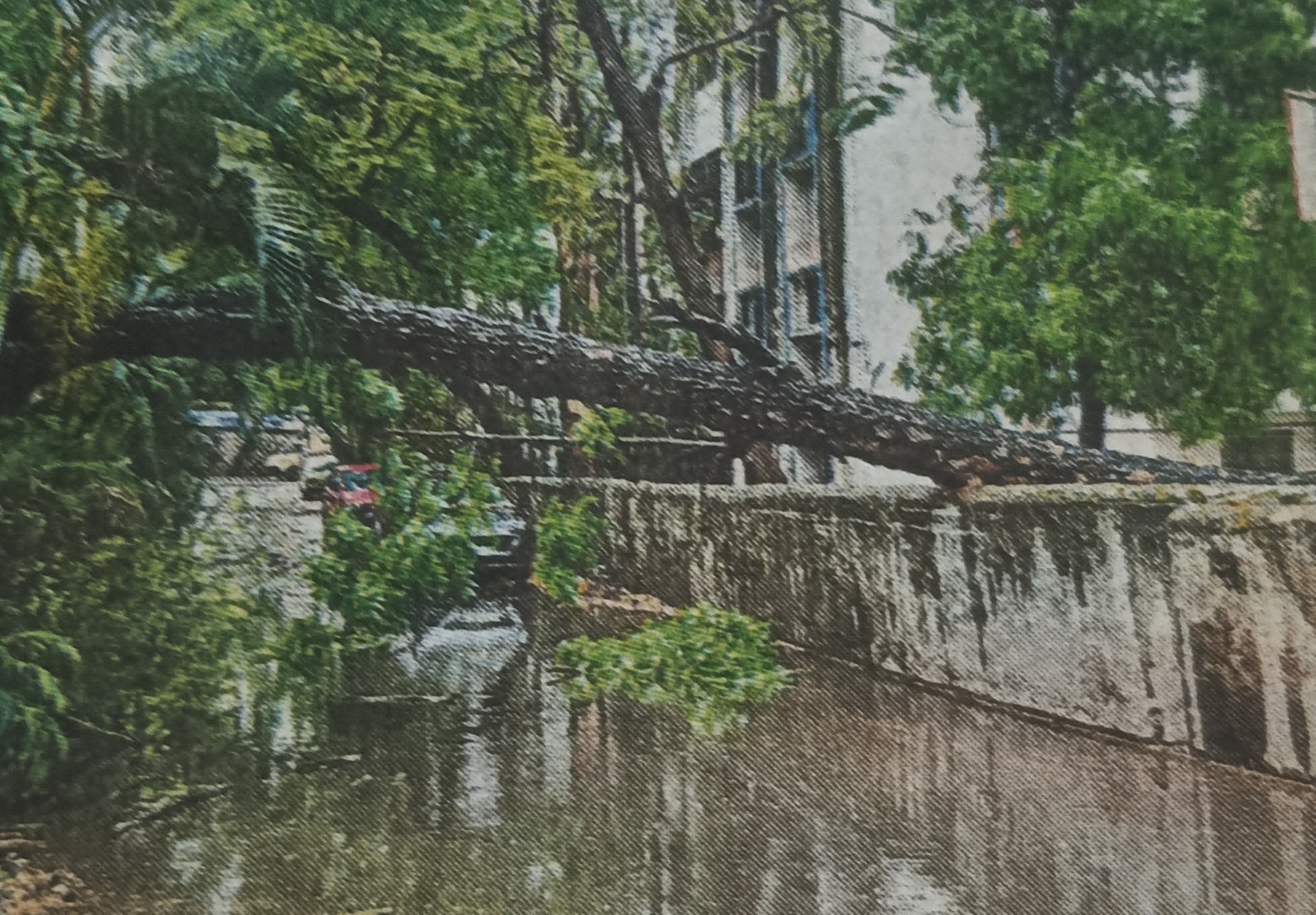 हडपसरमध्ये मुसळधार पाऊस; झाड कोसळले, नोबल हॉस्पिटल पार्किंगमध्ये पाणी साचले
